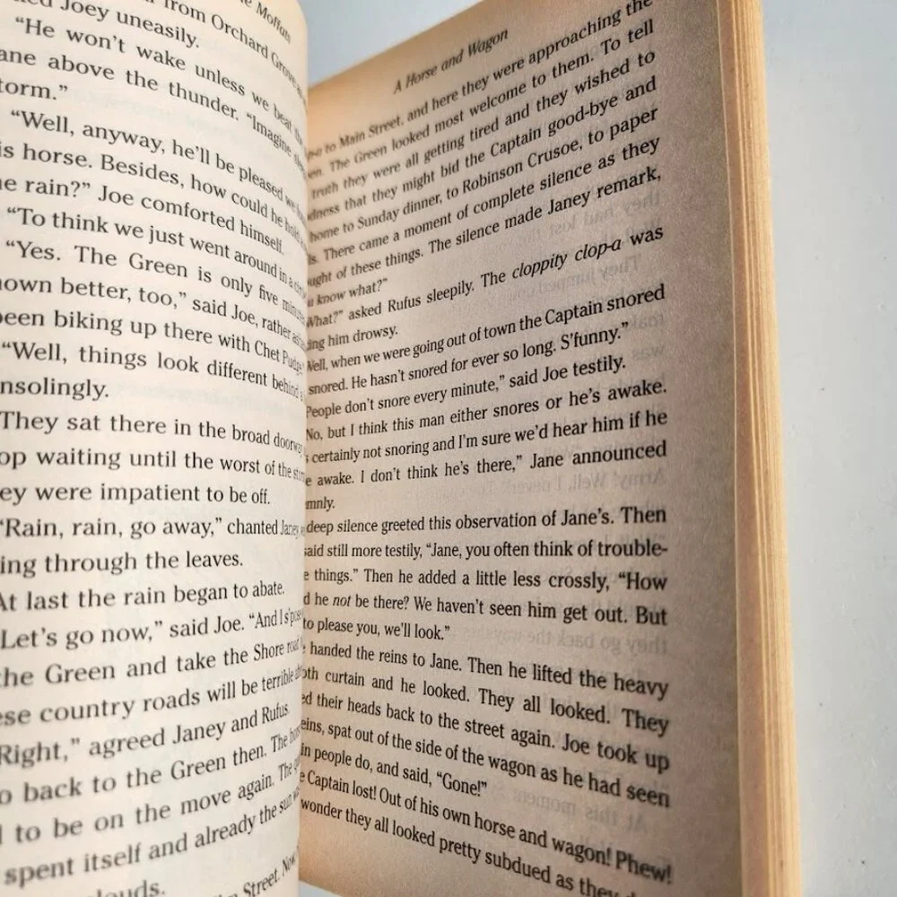 The Moffats By Eleanor Estes Book Paperback Chapter Books Young Adult Literature